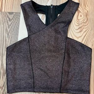 Express S Purple and Silver Crop Top